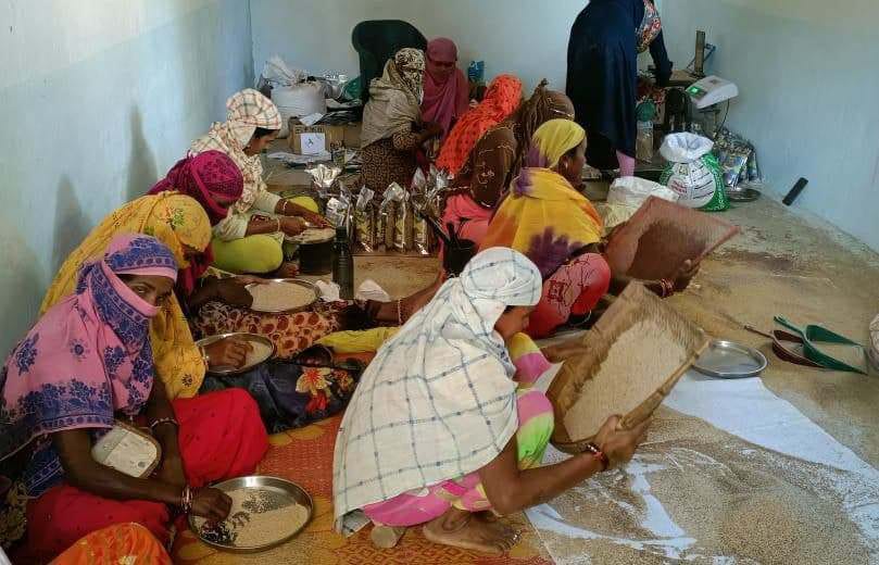 कोदो-कुटकी प्रसंस्करण और पैकेजिंग इकाई से बढ़ रही महिलाओं की आमदनी